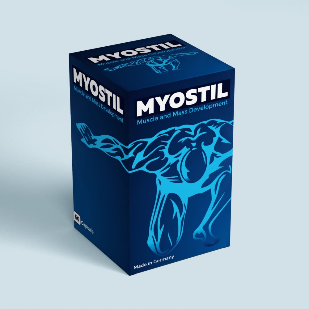 MYOSTİL MUSCLE 250MG 66 KAPSÜL